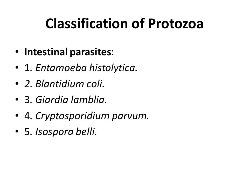 parazitele protozoare ppt de ce negii nu dispar