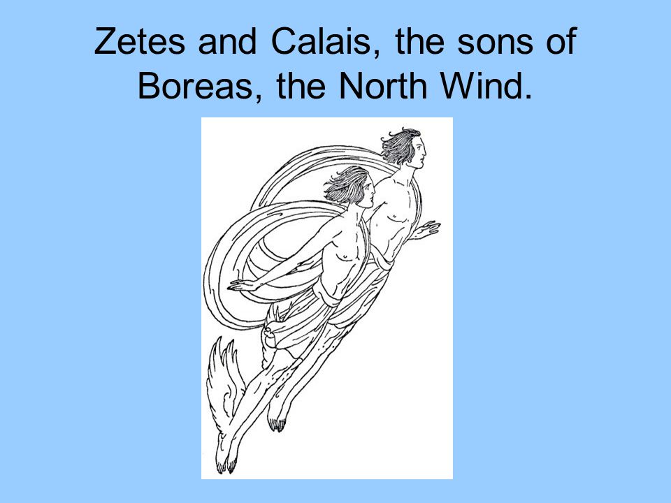 Zetes and Calais, the sons of Boreas, the North Wind.