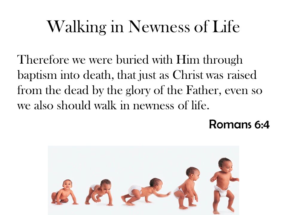 Walking In Newness Of Life Ppt Video Online Download