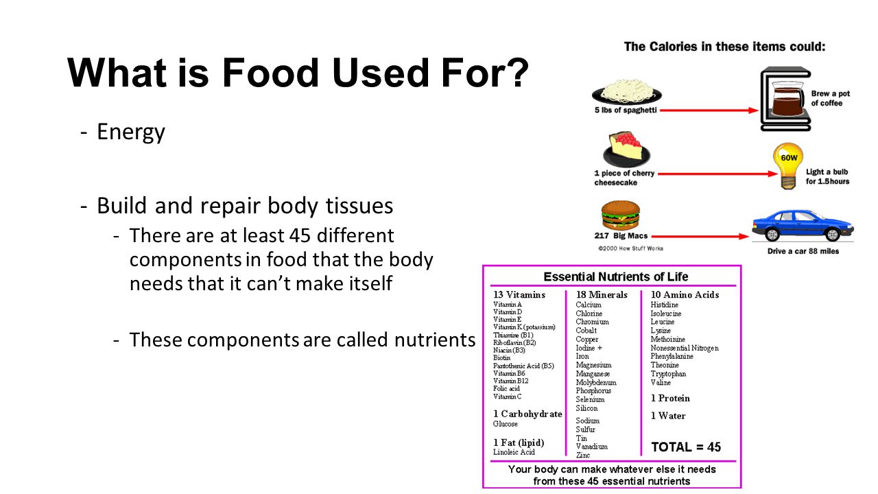 What is Food Used For Energy Build and repair body tissues