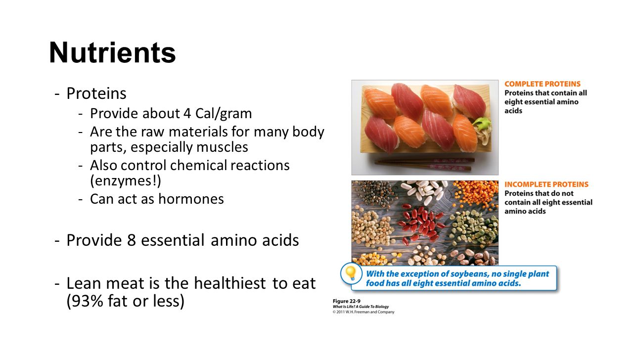 Nutrients Proteins Provide 8 essential amino acids
