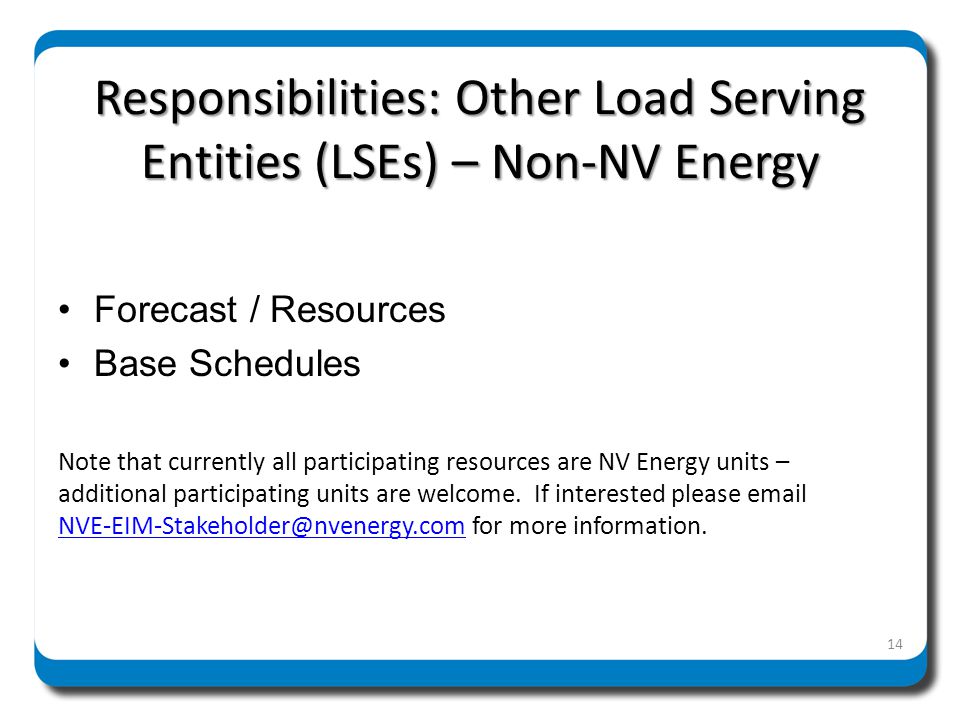 Responsibilities: Other Load Serving Entities (LSEs) – Non-NV Energy