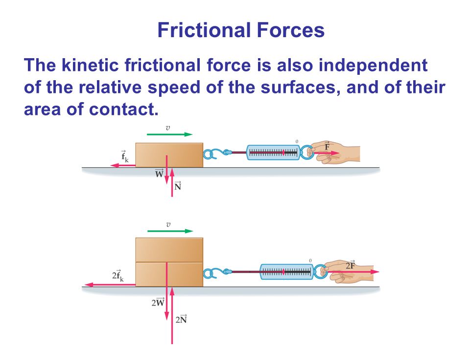 Frictional Forces The kinetic frictional force is also independent of the relative speed of the surfaces, and of their area of contact.