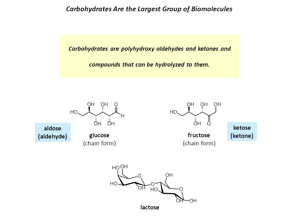 Carbohydrates Are the Largest Group of Biomolecules