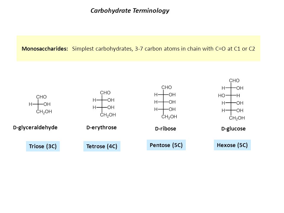 Carbohydrate Terminology