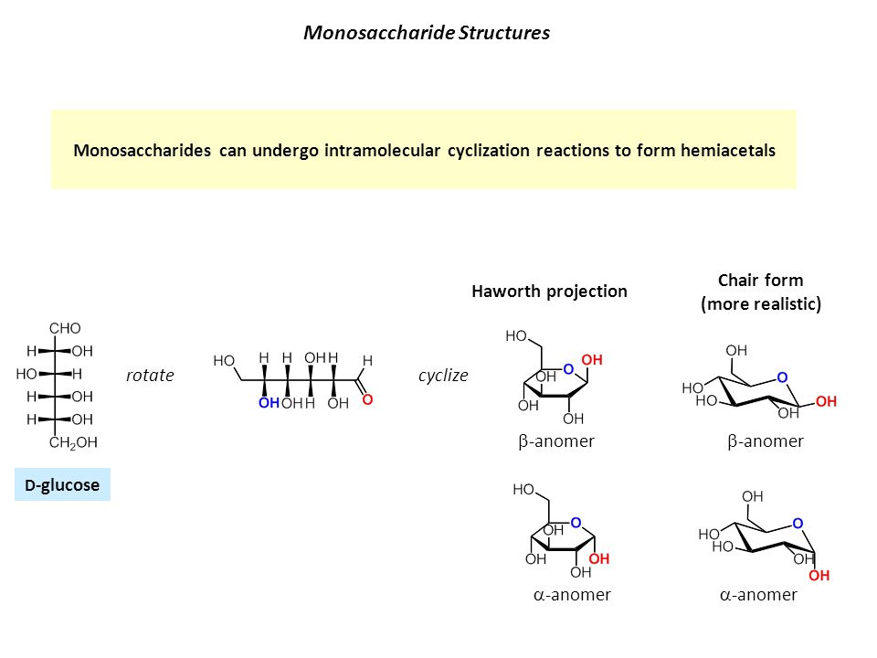 Monosaccharide Structures