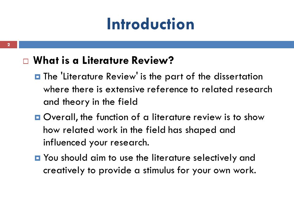 literature review for project