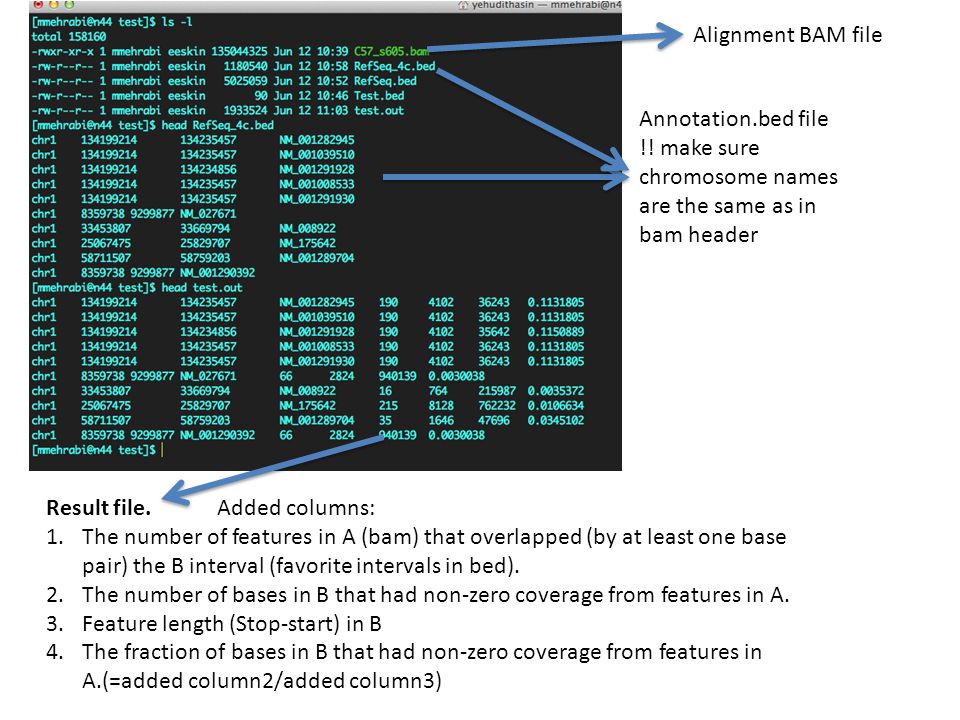 bam file format column bam file format column