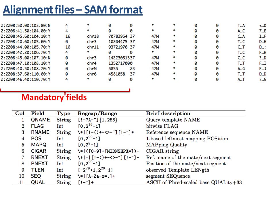 cigar bam file format description cigar bam file format description