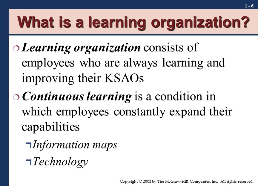 What is a learning organization