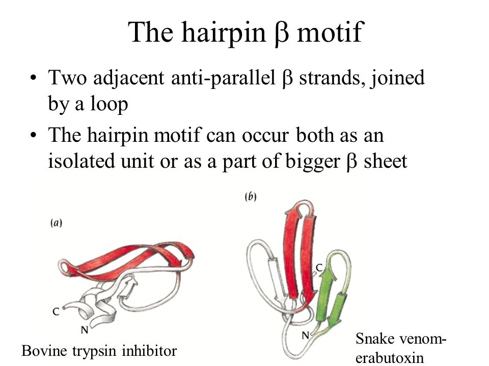 b hairpin