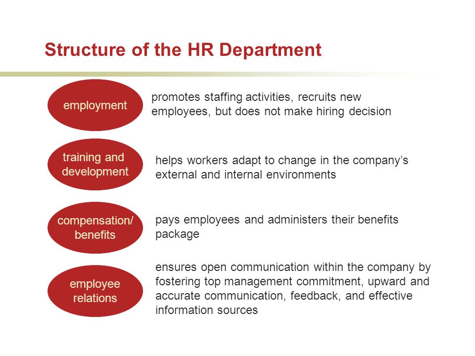 Structure of the HR Department