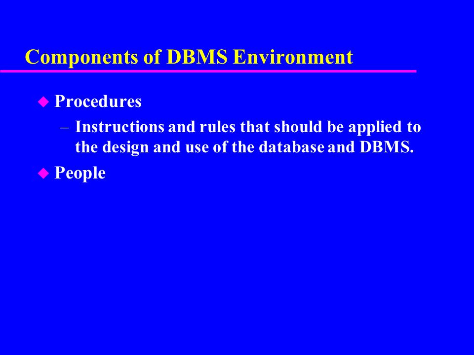 Components of DBMS Environment