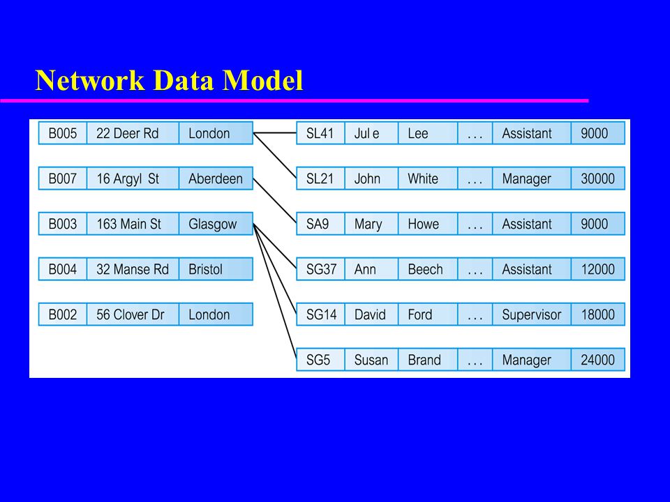 Network Data Model