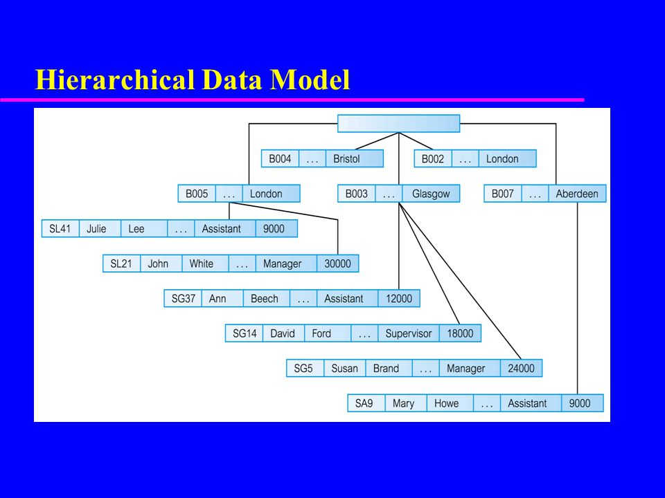 Hierarchical Data Model