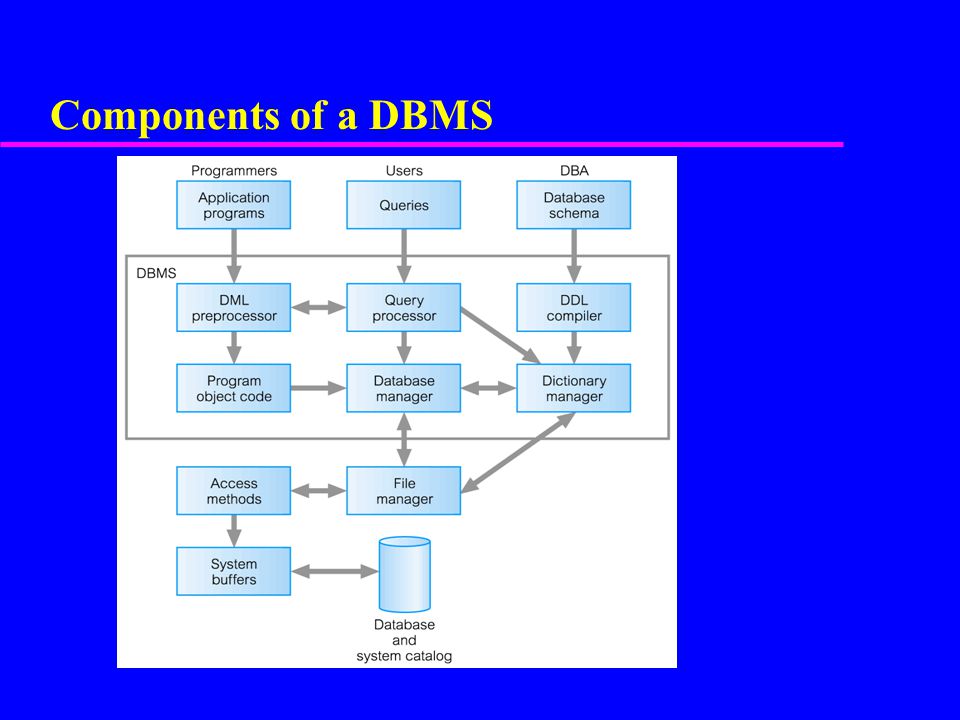 Components of a DBMS