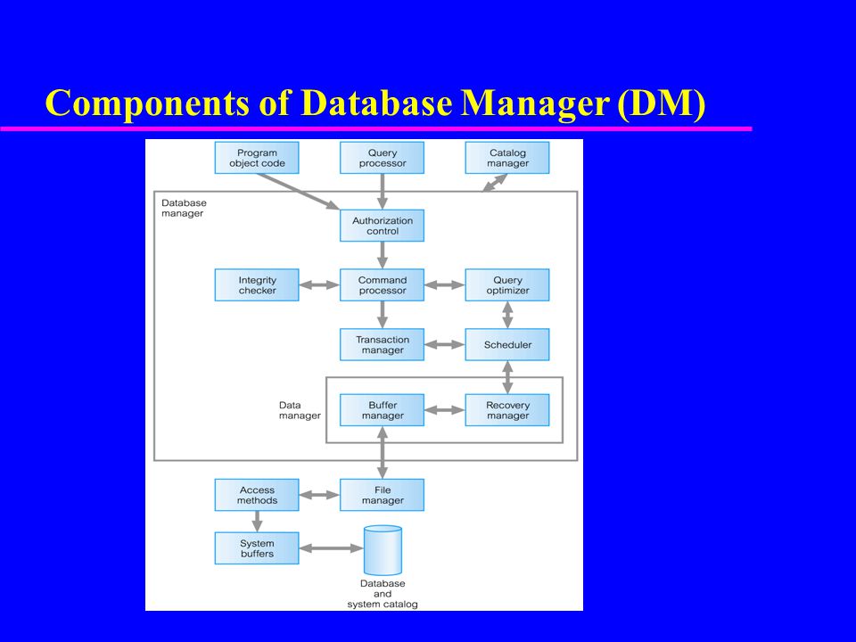 Components of Database Manager (DM)