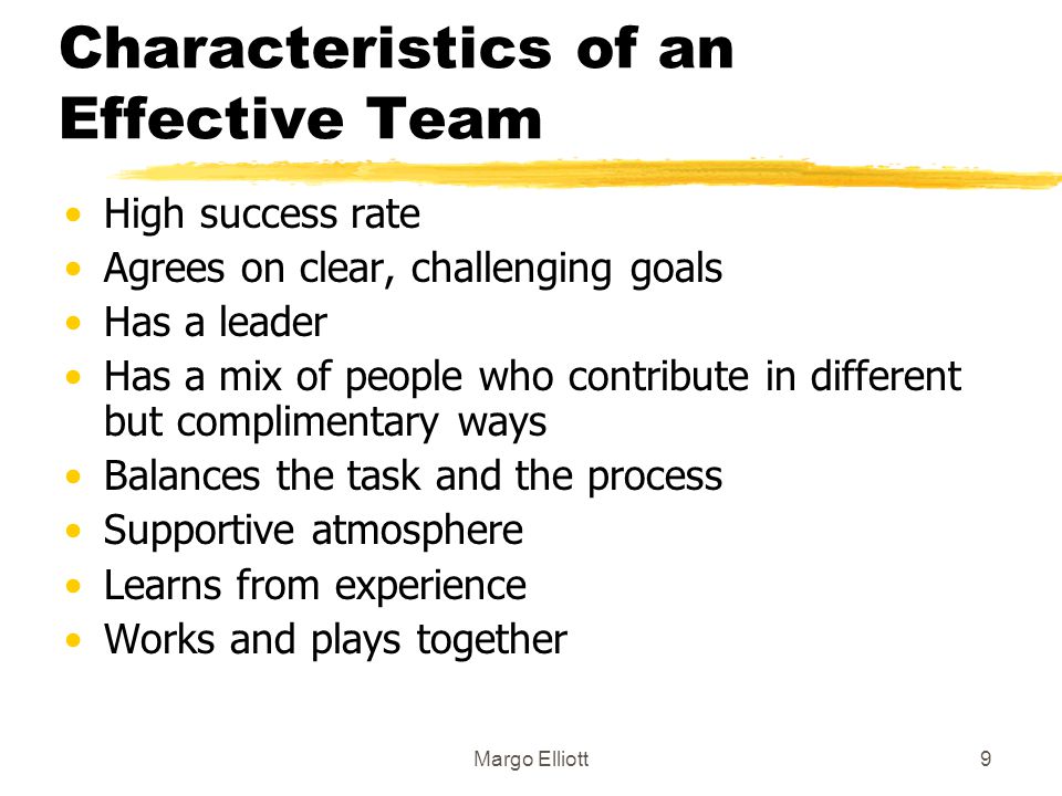 Characteristics of an Effective Team