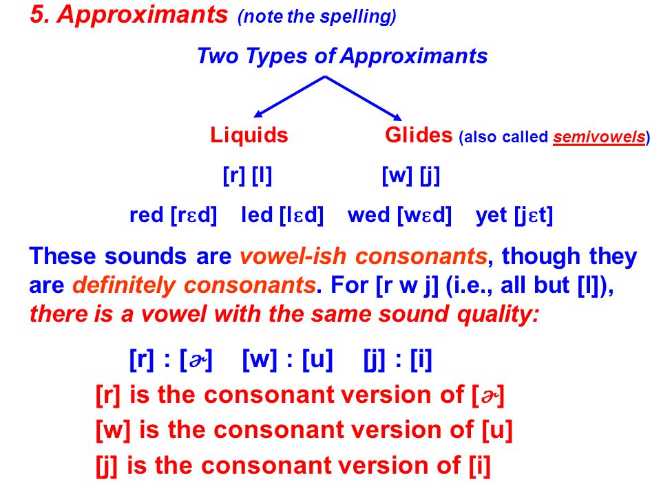 Consonants Next Major Topic Consonant Articulation Ppt Video Online Download