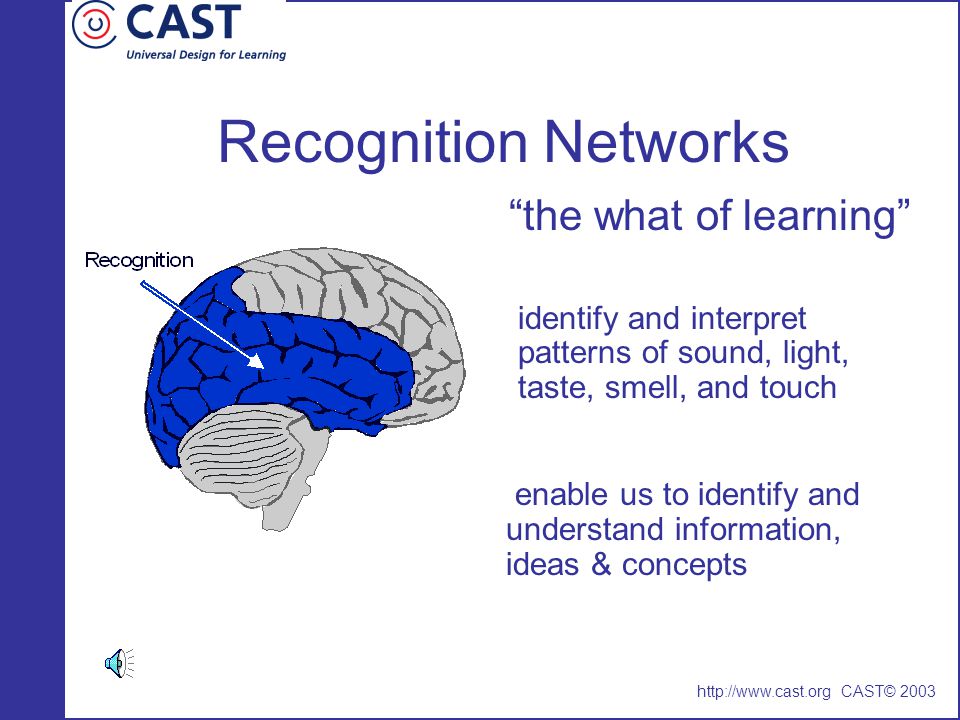 Recognition Networks the what of learning