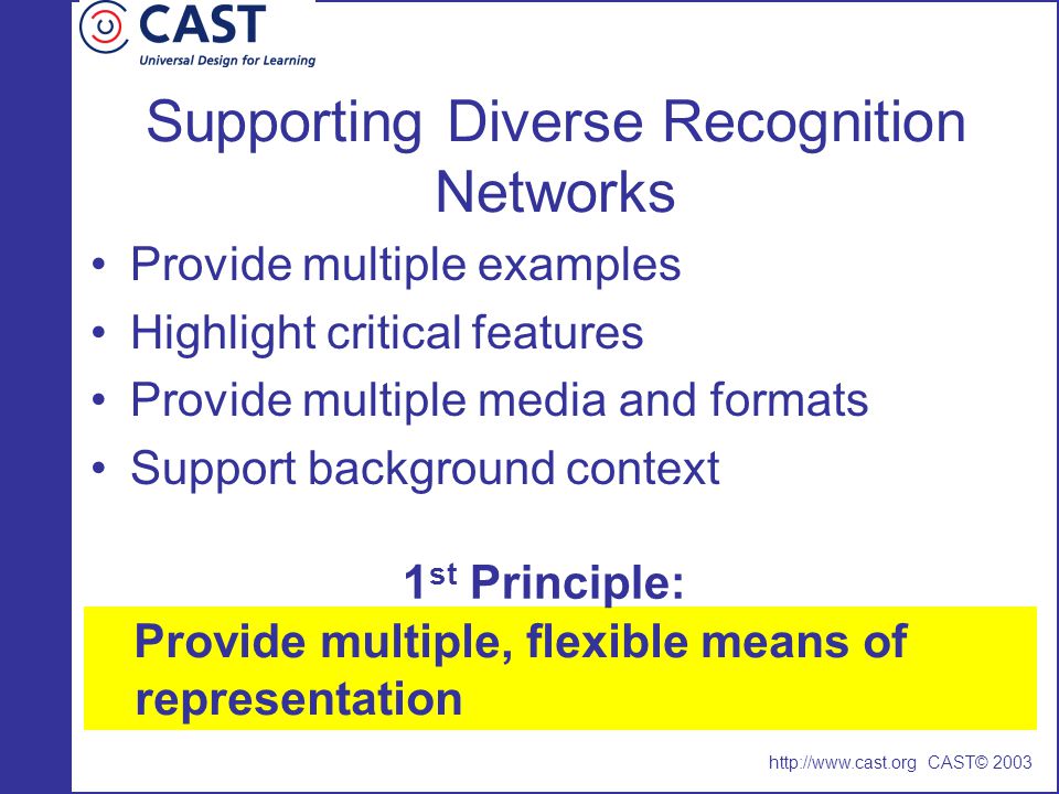 Supporting Diverse Recognition Networks