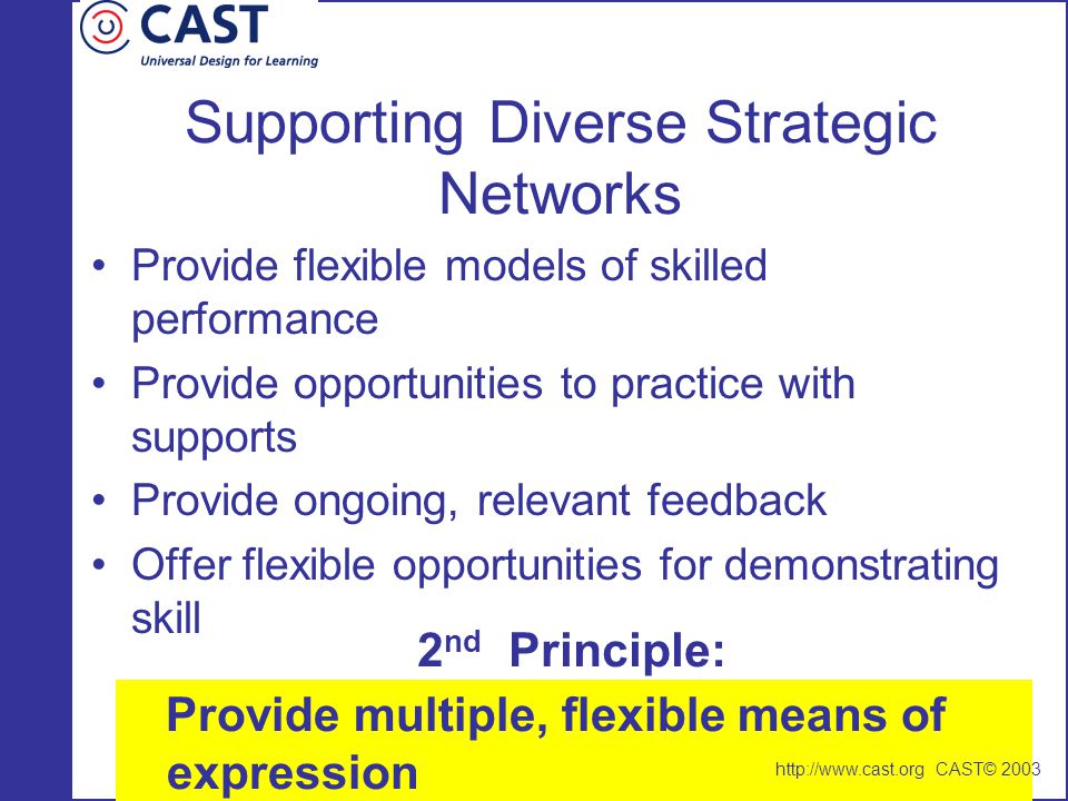 Supporting Diverse Strategic Networks
