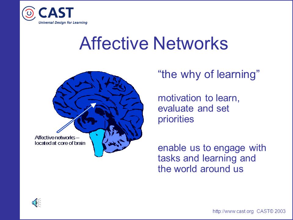 Affective Networks the why of learning motivation to learn,