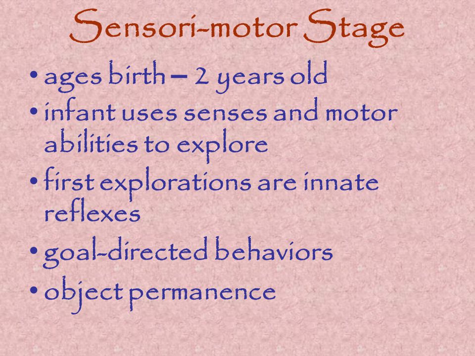 Sensori-motor Stage ages birth – 2 years old