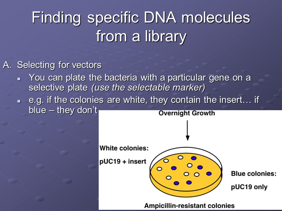 Finding specific DNA molecules from a library