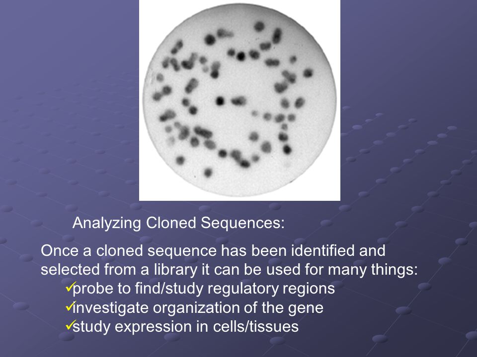 Analyzing Cloned Sequences: