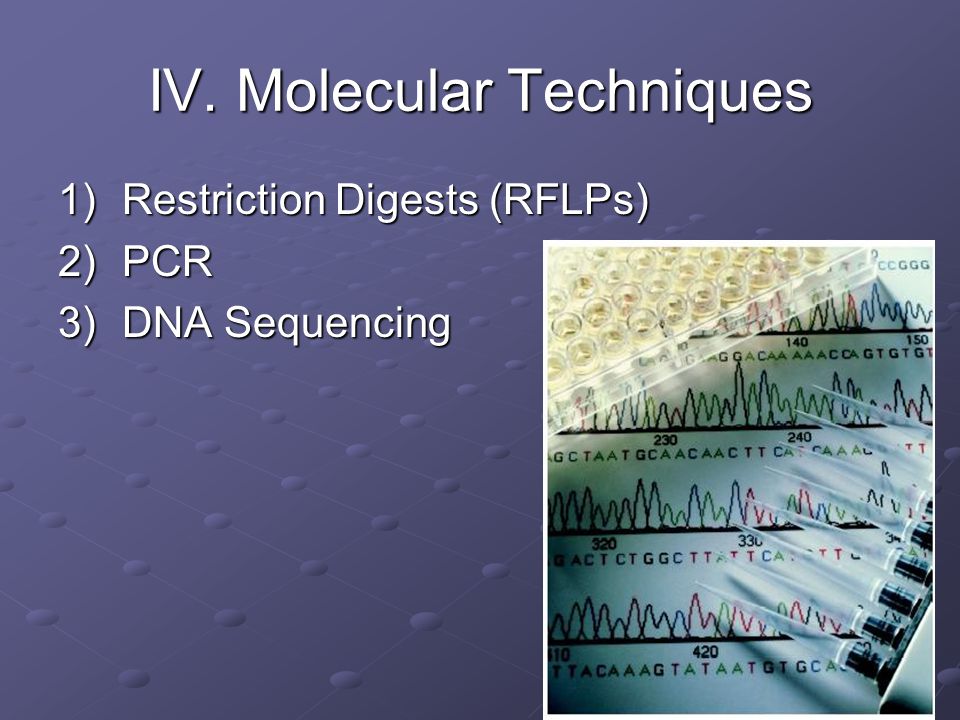 IV. Molecular Techniques