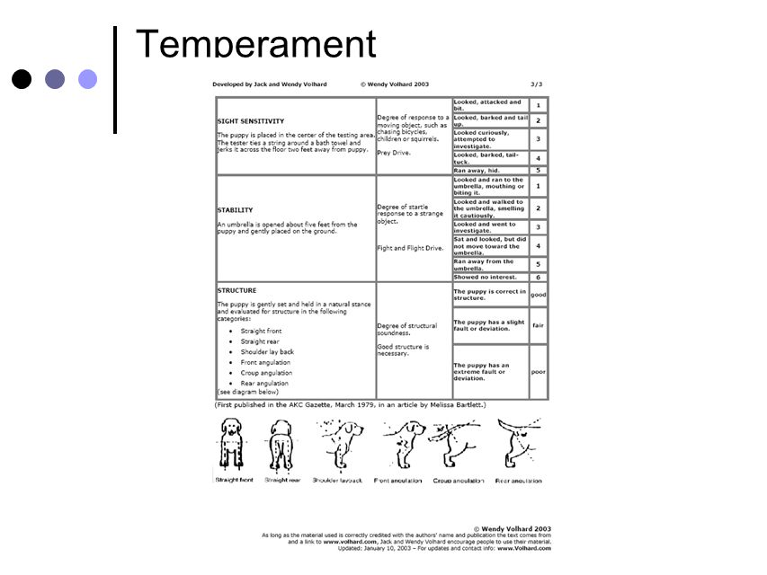 The Cognitive Dog Class 8: Temperament and Puppy Tests. - ppt video online  download