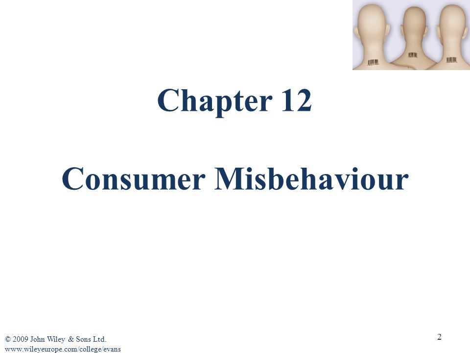 Consumer Misbehaviour