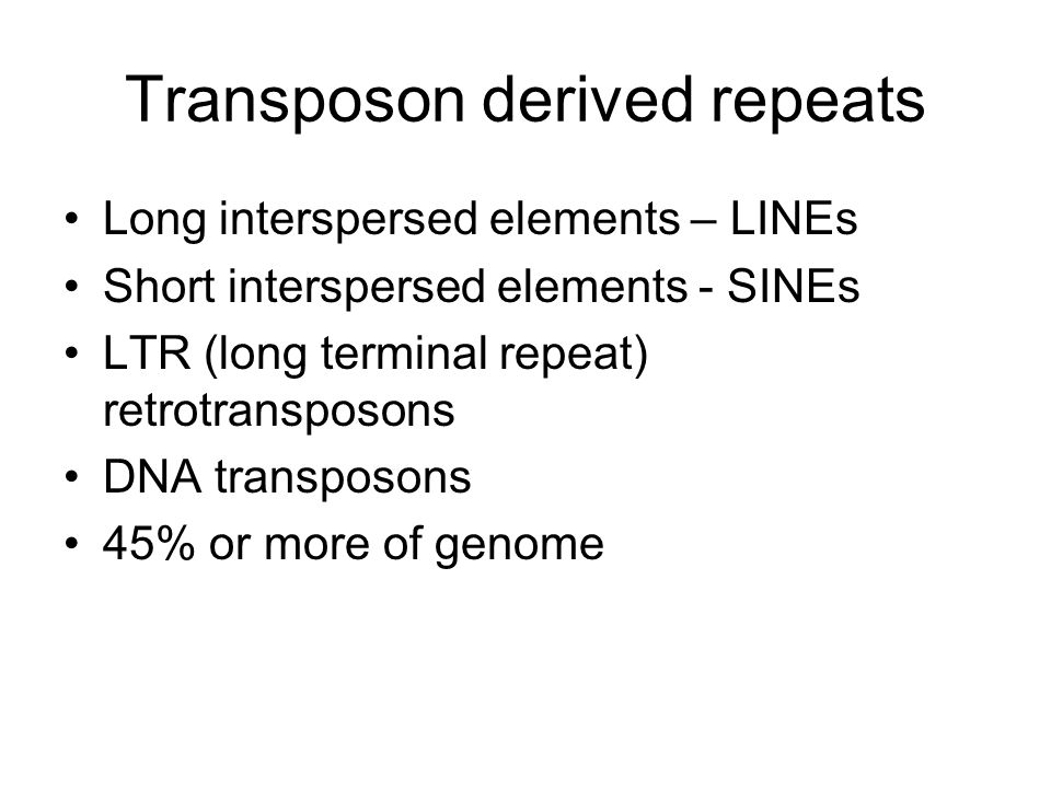 Transposon derived repeats