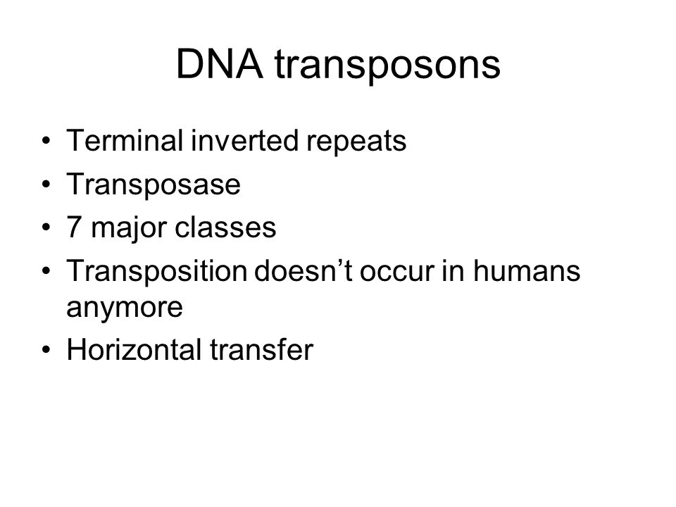 DNA transposons Terminal inverted repeats Transposase 7 major classes