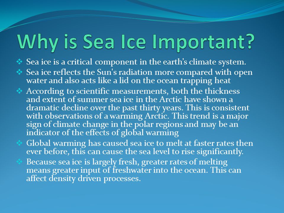 Why is Sea Ice Important