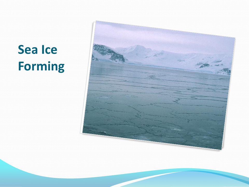 Sea Ice Forming
