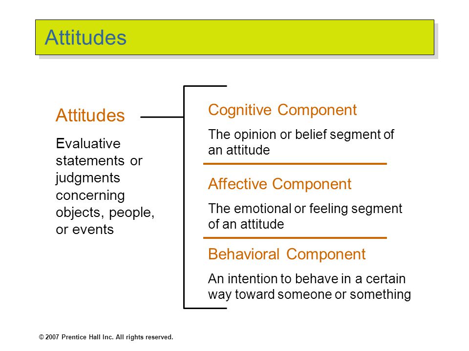 components of attitude