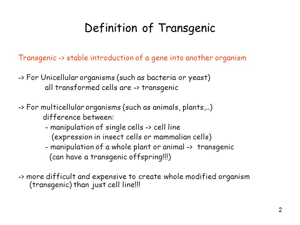 Transgenic Animals and Plants - ppt video online download