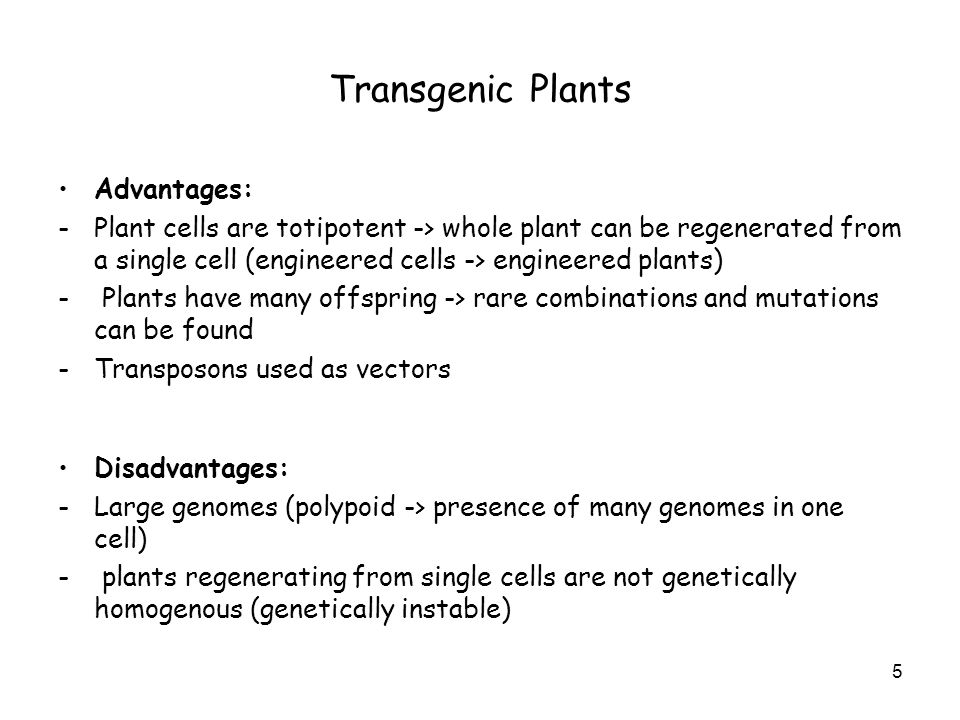 Transgenic Animals and Plants - ppt video online download