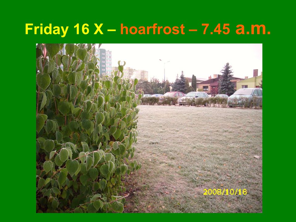 Friday 16 X – hoarfrost – 7.45 a.m.