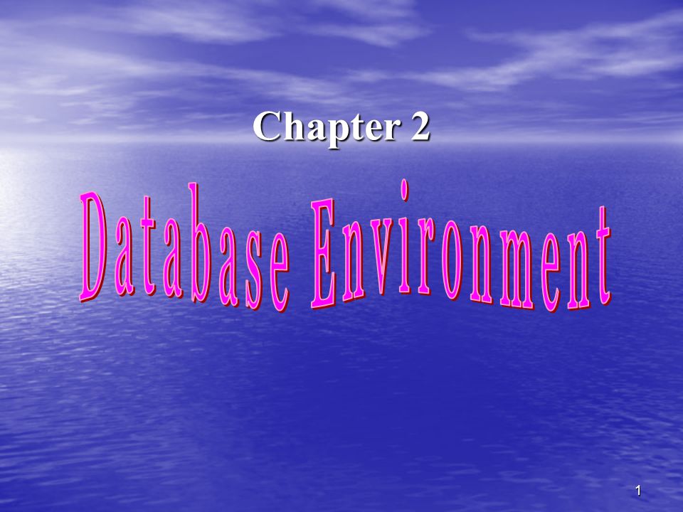 Chapter 2 Database Environment