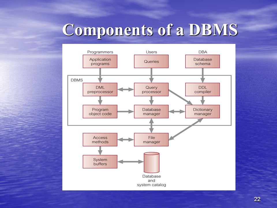 Components of a DBMS