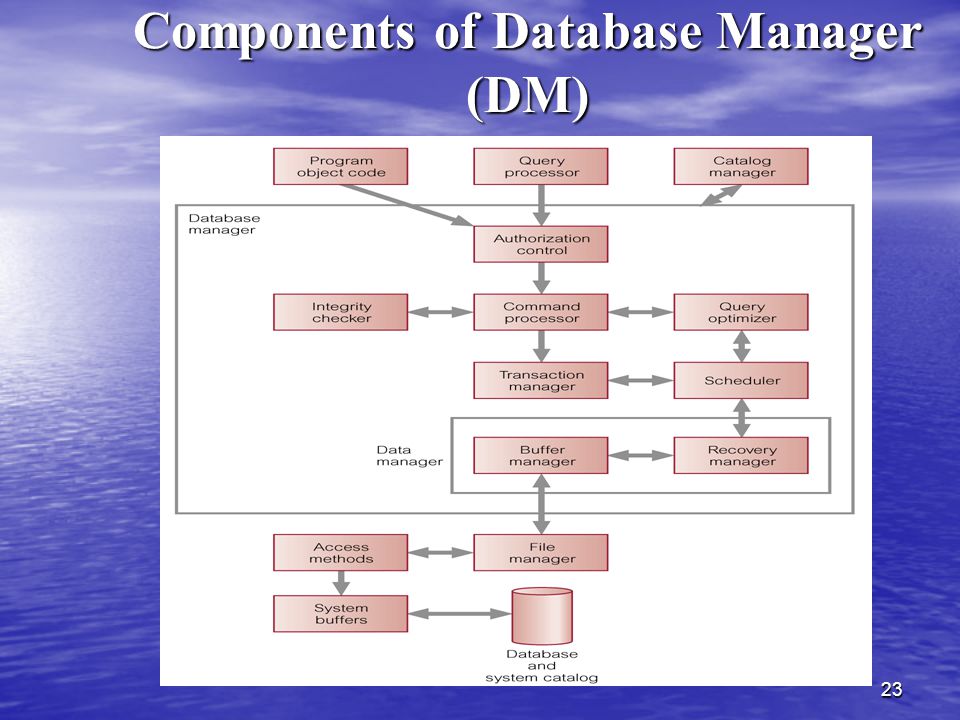 Components of Database Manager (DM)
