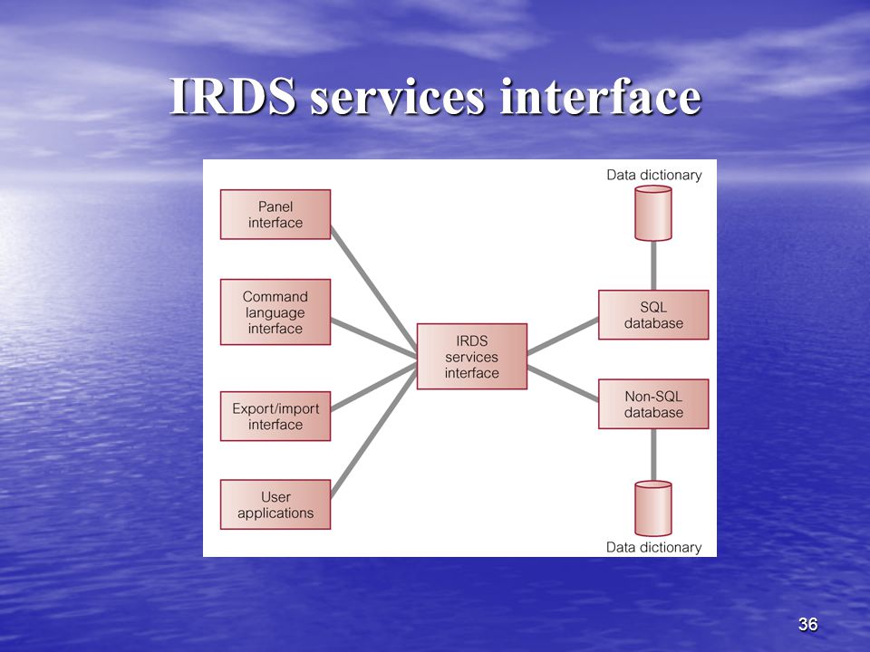 IRDS services interface