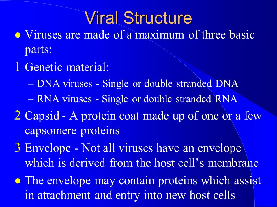 Viral Structure Viruses are made of a maximum of three basic parts: