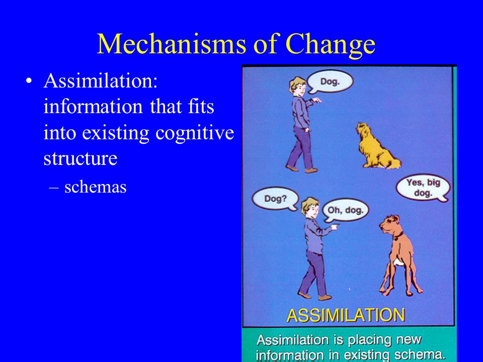 Mechanisms of Change
