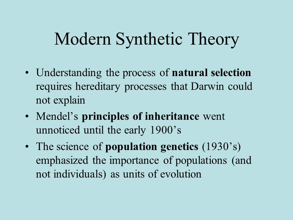 modern synthetic theory of evolution