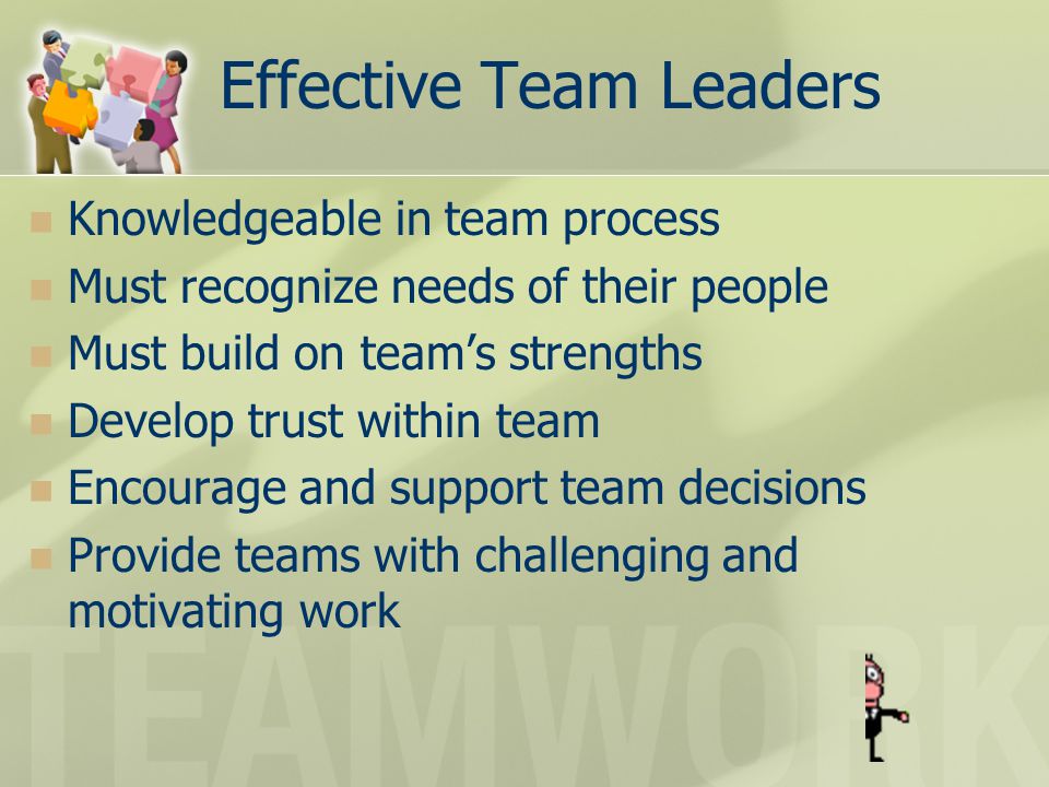 Effective Team Leaders