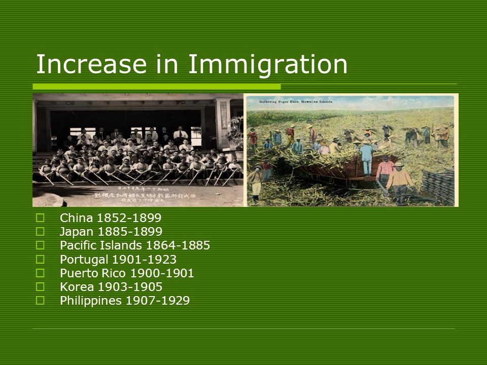 Increase in Immigration